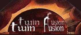 logo Twin Fusion